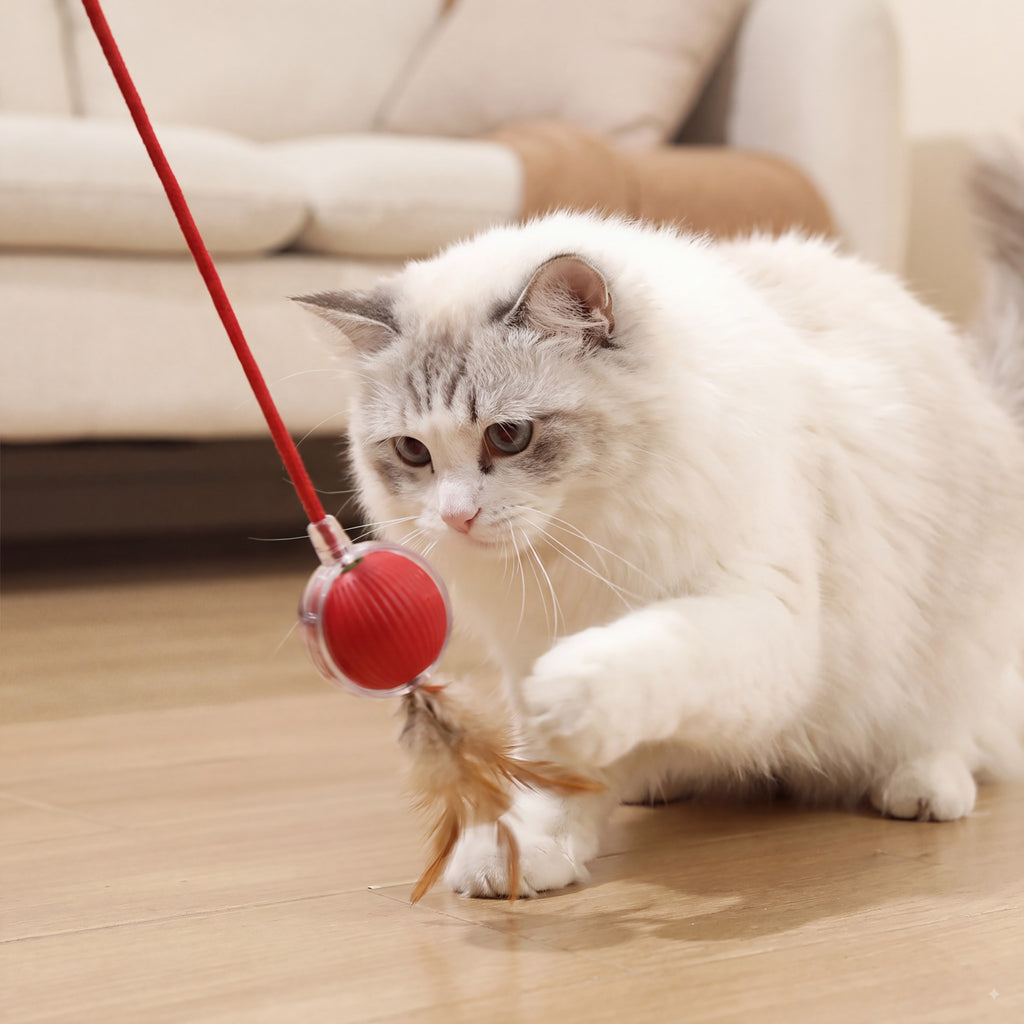 Interactive Cat & Dog Teaser Toy with Two Additional Tails, Kitten Rolling Ball Toy, Pet Supplies, Dog & Cat Accessories Cute dog toys